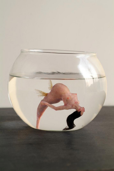 �������� �� ������� dongwooklee